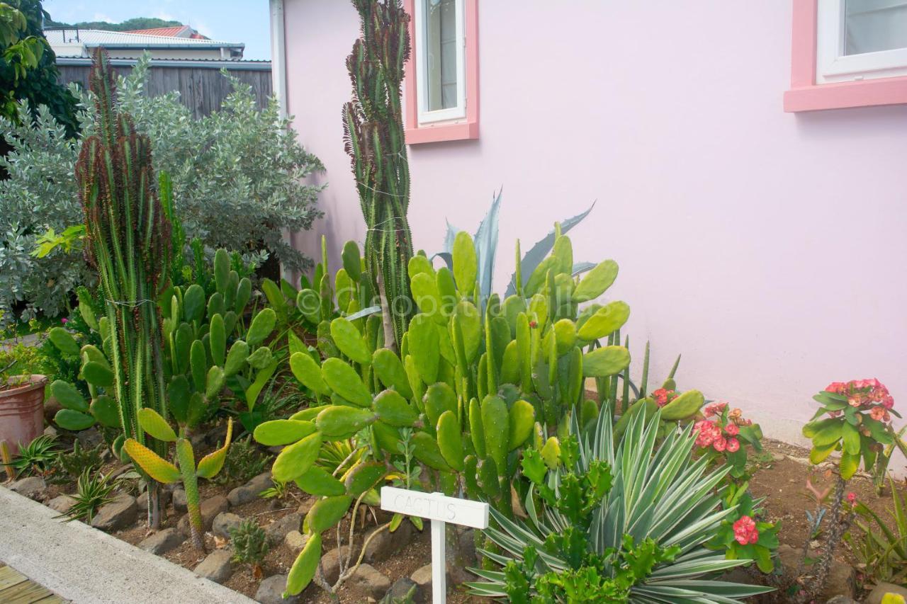 Aparthotel The Harbour Rodney Bay Esterno foto